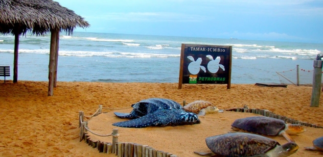 Praia do Forte
