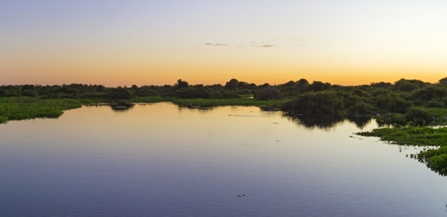 Pantanal