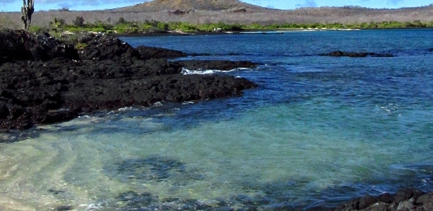 Galápagos