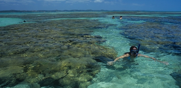 Maragogi